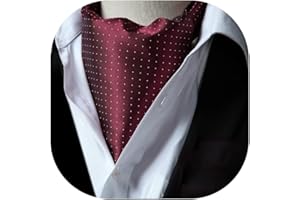 HISDERN Ascot Uomo Foulard Elegante Cravatta Ascots a Pois da Matrimonio