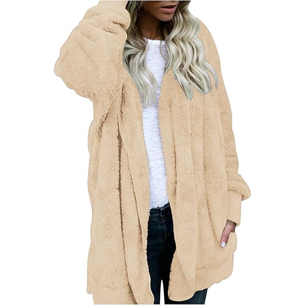 Sweatjack voor dames, lange overgangsjas, herfst, winter, herfstjas met capuchon, jas, winterjas, warm, lang vest, dames, Higlles ritssluiting, sweatshirt, lange mouwen, hoodie, casual, capuchon