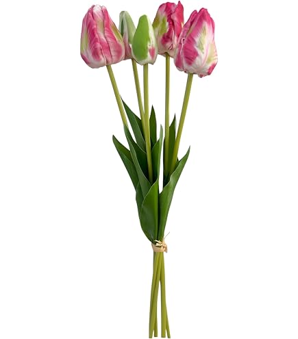 gewicht blumenkasten JARDI 50 Anthrazit – Balkonkasten 50x17x17 cm 8 kg Naturschiefer Schwa –  CLIMAQUA