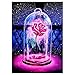 Produktbild AnySell Rot Rose 5D Diamant Gemälde Stickerei DIY Craft Kreuzstich Home Decor