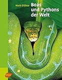 python schlange gefährlich  Boas und Pythons der Welt