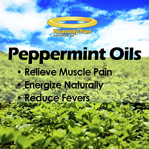 Pfefferminze ätherisches Öl (Große 4 Oz) Eye Dropper im lieferumfang enthalten – 100% Pure & Natural Sweet Peppermint Aroma – Therapeutische Grade – Pfefferminz Öl ist ideal für Aromatherapie, schlechten Atem, und Muskel - 3