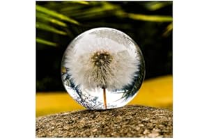 ZHYX Briefbeschwerer pusteblume,Traumgeschenkkugel,Kristall Wunschkugel Traumball Einzigartiger Briefbeschwerer aus Löwenzahn Das perfekte Geschenk für Familie Liebhaber Kinder und Freunde (7CM）