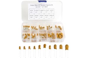 XINGYHENG BGTXINGI 100Pcs 10Value 16V 1 uf - 100 uf Tantalum Capacitor Assorted Kit with A Plastic Box