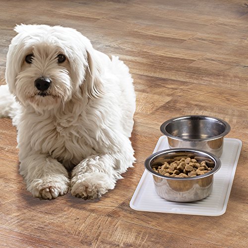 mDesign Futtermatte (klein) – transparente Napfunterlage Silikon für Hund, Katze & Co. – Bodenschutzmatte für einen großen oder zwei kleine Futternäpfe – 40,64 cm x 20,32 cm - 2