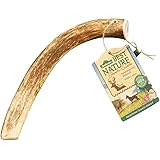 Dehner “Best Nature” - Snack per Cani, Bastoncino da Masticare, Corna di Cervo Rosso, Misura L