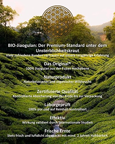JIAOGULAN (Unsterblichkeitskraut) – Natürliche Wildsammlung | TOP-Qualität vom Original | ISO-9001-zertifiziert + laborgeprüft | 100g - 2