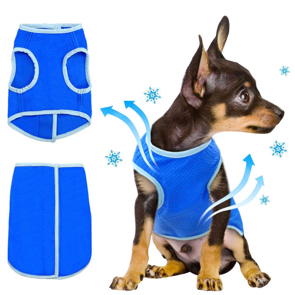 Crufts Pet Cooling Vest in Colour Box, Small Dogs.co.uk