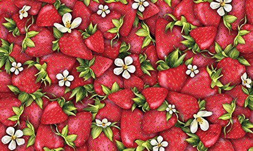 Toland Home Garden 830018 Strawberry Collage 18" x 30"  Recycled Mat, USA Produced