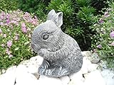 Steinfigur Hase Zwergkaninchen, Gartenfigur Steinguss...