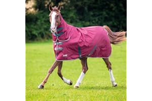 Shires Tempest Original 200 Turnout Combo Rug - Maroon