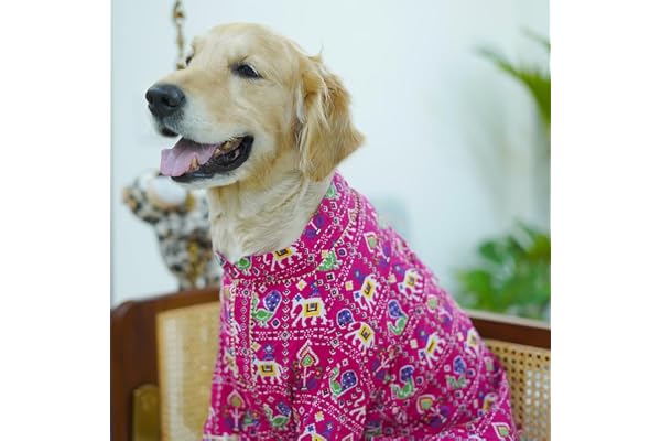 Pet's Way Dog Kurta for WeddingsDurga PujaDiwali WearVibrant Traditional Pattern100% Soft Cotton FabricEasy-to-Fasten Design for SmallMedium and Large Dogs(Patola Fuchsia M)