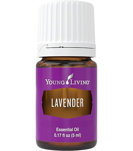 Young Living Brain Power 5 ml Essential Oil - Nourish Your Mental
