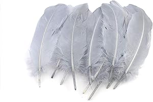 ‎CREATIVERY 10 Goose Feather 15 – 20 cm – Natural Feather Craft Feathers Necklace Feathers Decorative Feathers Bird Feathers Decorative Feathers