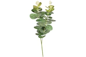 Rayher 55798000 Artificial Eucalyptus Leaf Spray, Faux Greenery Stem for Wreath Making, Crafting and Home Décor, 34cm