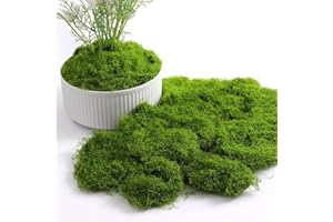 NOKWOCY mousse artificielle pour décorer, mousse artificielle décorative pour bricolage, présentation de table, arrangements floraux, jardin féérique et décoration de mariage (ArtificialmossDark-100G)