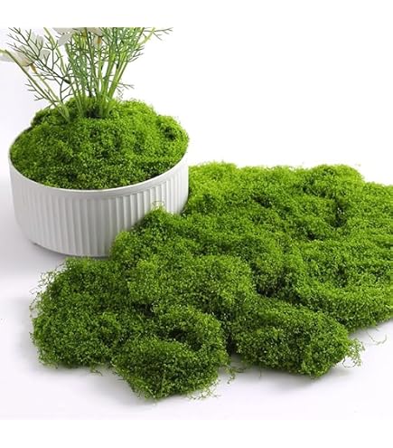 Rayher Mousse Naturelle Séchée Vert Clair 100g - Idéale Pour Décorations Automne, Noël, Pâques, Crèche, Floristique Et Modélisme