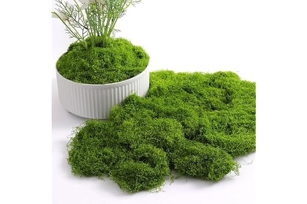Nokwocy Mousse Artificielle pour décorer, Mousse Artificielle décorative pour Bricolage, présentation de Table, Arrangements Floraux, Jardin féérique et décoration de Mariage (Dark 100g)