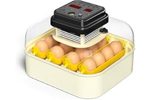 Chalixion Incubadora Huevos Gallina para 16 huevos, Incubadora de huevos con volteador automático, Control de Humedad y Temperatura, Incubadoras de huevos automaticas con Lámpara Led