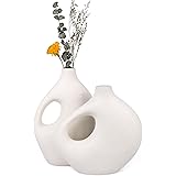 aiskding Juego de 2 jarrones de cerámica, color blanco mate, flores secas, adornos para mantel con hierba de las Pampas, deco