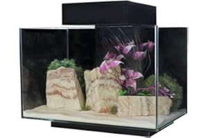 AQUAONE Aqua One PLATFORM 21 Aquarium Fish Tank 40cm 21L