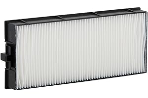 ‎AZURANO azurano Luftfilter Ersatz für PANASONIC ET-RFE300 für PT-EW540EL, PT-EW540E, PT-EW540LE, PT-EW540LU, PT-EW540L, PT-EW540UL, PT-EW540U, PT-EW540, PT-EW550EL, PT-EW550E, PT-EW550L, PT-EW550, PT-EW640EL