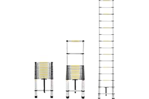 Froadp 440cm Échelle Télescopique, Multifonctionnelle Echelle Pliable en Aluminium, Escabeau à Barreaux avec 15 Marches, Escabot Extensible Capacité de Charge Jusqu'à 150KG(Argenté)