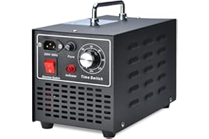 Sterilizzatore d'aria per rimozione odori generatore di ozono commerciale Songway, 10000mg/h per casa, cucina, auto, garage, autobus, barca, ristorante, negozio, purificatore d'aria