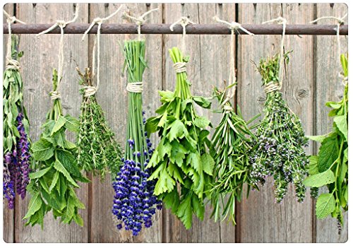 mySPOTTI moderner Spritzschutz Motiv Herbs Kräuter Aluminium Küche Herd Kochfeld