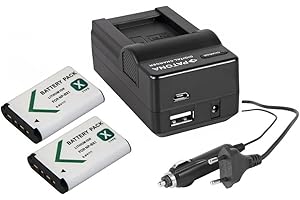 PABUTEL-BUNDLE 3in1-SET für den Sony HDR-CX240 Camcorder - kompatibel mit Sony Akku NP-BX1 - Set mit 2 Ersatzakkus und 4in1 Ladegerät (für USB, microUSB, 220V und Auto)