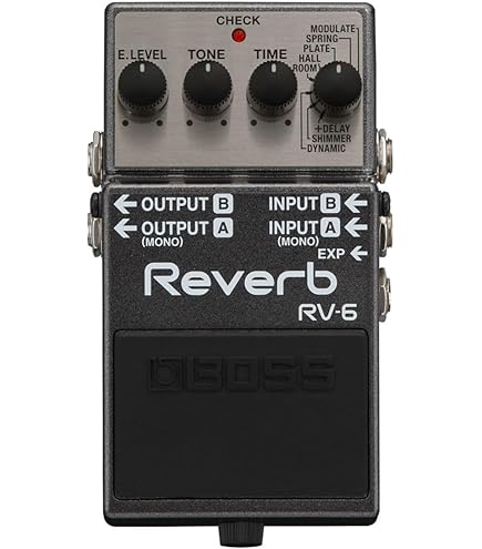 Boss RV-5 Digital Reverb Effects Pedal : Amazon.in: Musical