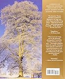 Image de Meetings With Remarkable Trees