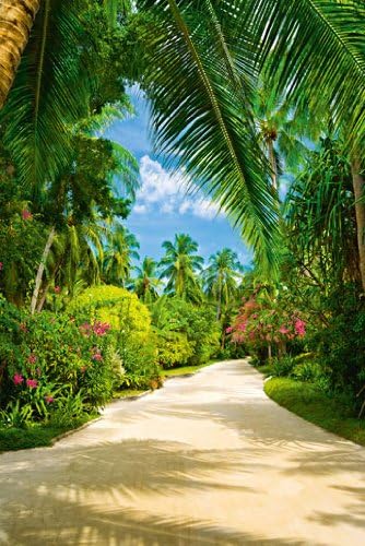 Photo Wallpaper Tropical Beach Palms walking holiday Ocean Rainforest-Size: 183 x 254 CM 4–Piece Set