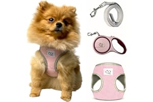 Belffy Katzen-Geschirr und Leine Set mit automatischer Leine für Katzen, Kätzchen, Welpen oder Hunde. Ausbruchsichere Jacke und Leine für große, mittlere und kleine Haustiere (Groß, Rosa).