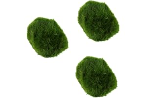 Biotope Aquatics Ltd - Live Marimo Moss Ball, Cladophora aegagropila, Aquarium Plant (3 x Mini Moss Balls)