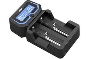 XTAR Chargeur pour Batteries Li-ION et Ni-MH Professionnel et Rapide, réactivation Profonde et Cellule 0 V, 2 cellules, modèle X2