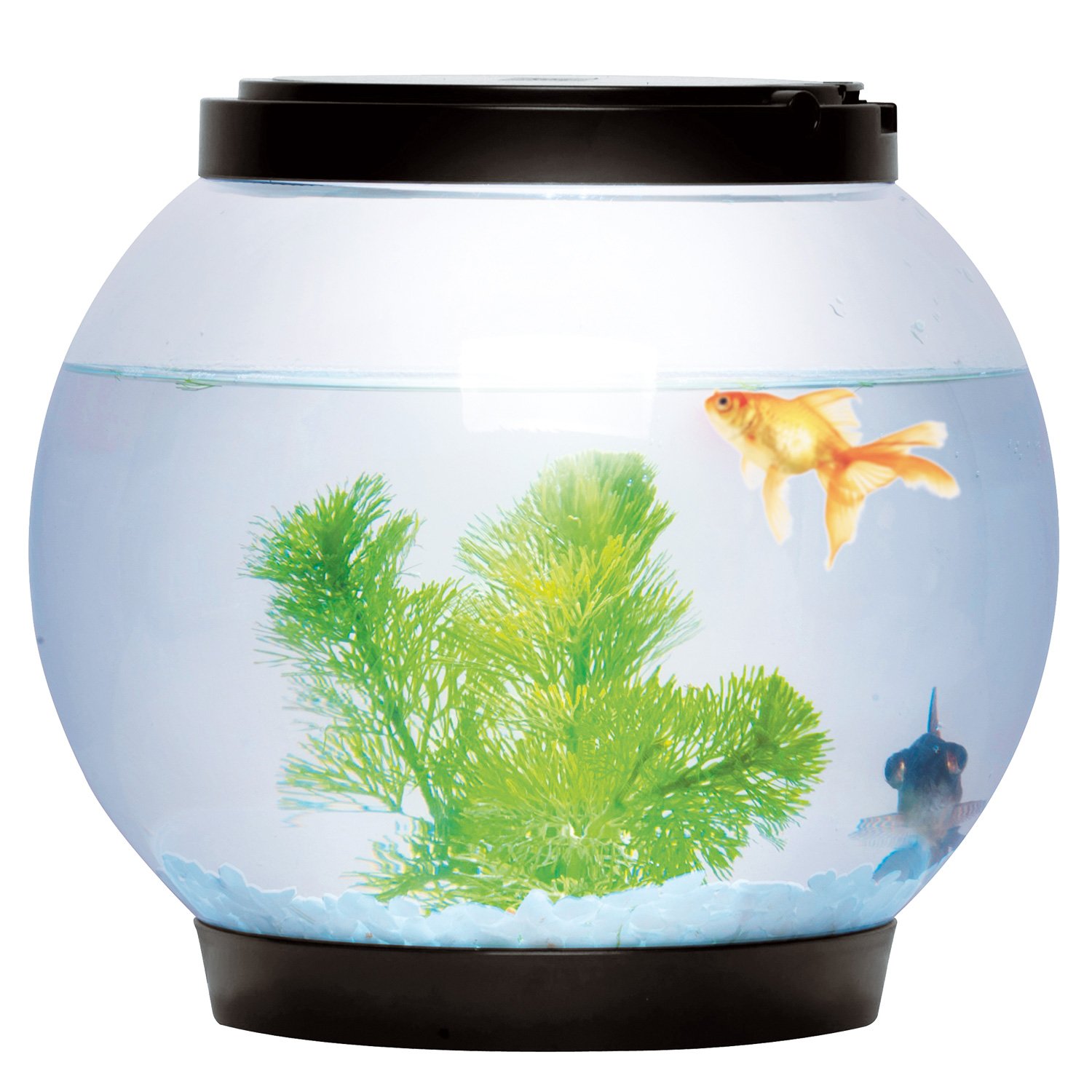 Sentik 5 Litre Glass Fish Bowl Led Light Aquarium Goldfish Betta