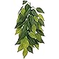 Trixie 76239 Seiden-Hängepflanze, Ficus, ø 20 × 30 cm