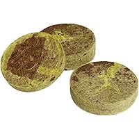 Windhager Anzuchtquelltabs, Quelltabs, Kokos-Quelltabletten zur Anzucht von Stecklingen, Aussaaterde, Kokoserde gepresst…