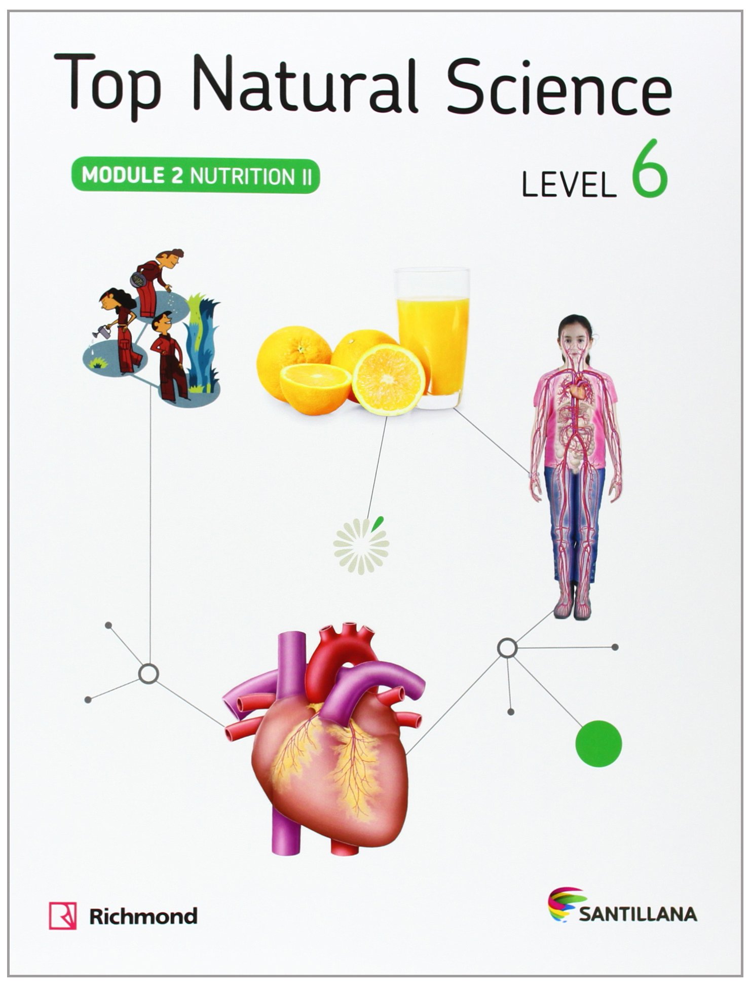 TOP NATURAL SCIENCE 6 NUTRITION II