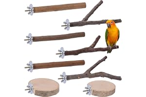 8pcs Wooden Bird Toy Accessories Canary Wooden Perches Birdcage Perches Bird Stand for Budgies Cockatiels Lovebirds Natural W
