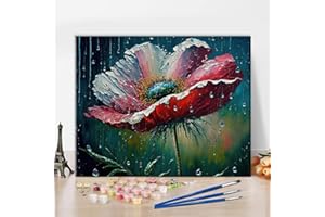 TISHIRON Zestaw do malowania cyfrowego według numerów, kropla wody, kwiaty, obraz olejny, zestaw do malowania cyfrowego, dla dorosłych, dzieci, dekoracja ścienna, 40 x 50 cm