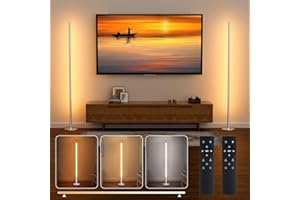 Hzitcigm Lampadaire sur Pied Salon LED, 2 Pièces Lampe sur Pied Intensité Variable en Continu 2700K-6500K Lámpara de Pie avec Control Remoto Moderne Lampe Lecture Esquina Lampara pour Chambre, Salon