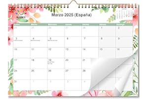 AEYAKA Calendario 2025 Calendarios de Pared, 30 cm x 43 cm Español, Resumen de vacaciones B
