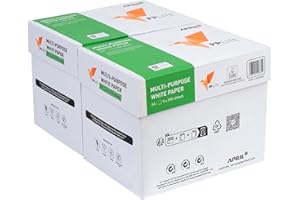 ‎DRUCK.DE Basic Druckerpapier DIN A4 – 5.000 Blatt (2 x 5 x 500 Blatt) – Weißes Universal Office Paper Kopierpapier - Ideal für Büro und Heim (2 Kartons | 5.000 Blatt)
