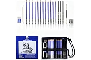 DEHUA ART Drawing Pencils and Sketch Set Professional 20 Pieces Drawing and Sketching Pencil Set with Portable Bag Sketch Pencils Drawing Art Tool Kit (Purple)