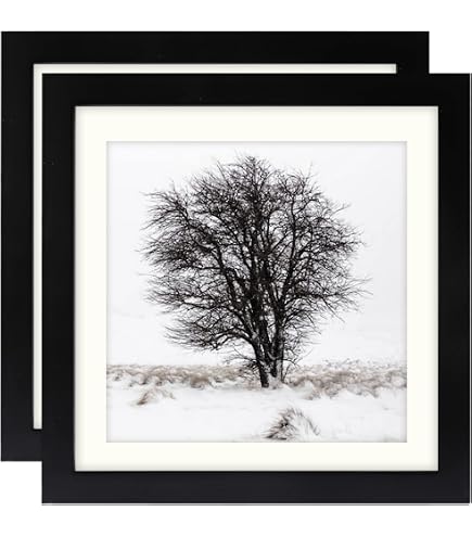 Cadre Photo 30x40 Cm Walasis - Passe-partout Bois Et Verre Acrylique - Noir - Pour Posters Et Photos - Accrochage Horizontal/vertical