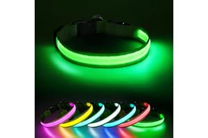 Jewyow Collier lumineux 7 en 1 pour chien - Rechargeable - USB-C LED - Avec étanchéité - Pour petits, moyens et grands chiens - Vert - L