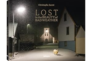 Christophe Jacrot Lost In the Beauty of Bad Weather /anglais/allemand
