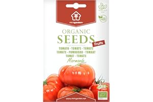 Tomate "Marmande", Graines certifiées biologiques prêt à Pousser Minigarden, 100% Naturelles sans Propagateurs Chimiques ni Génie Génétique, inclut entre 80 et 120 graines